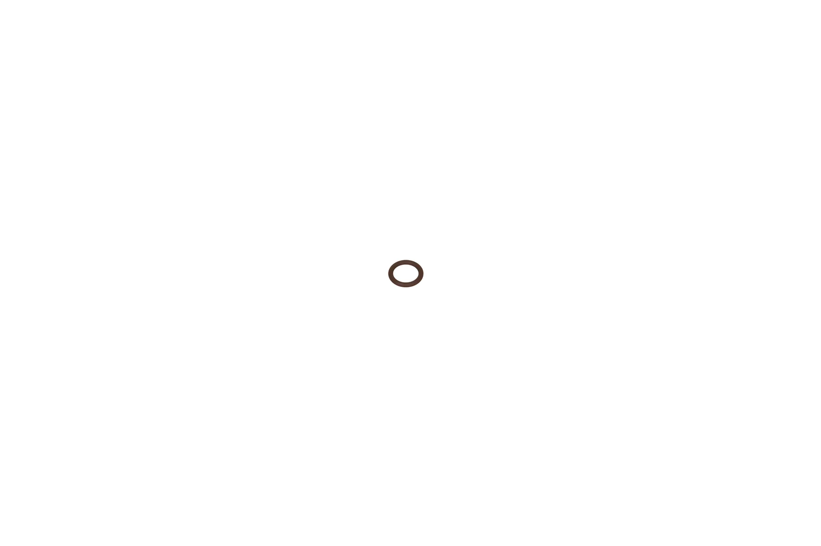 O-ring Lille Dyse T-Styk 800 F. Sele